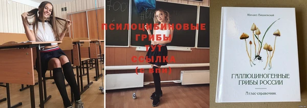 сатива Красноперекопск