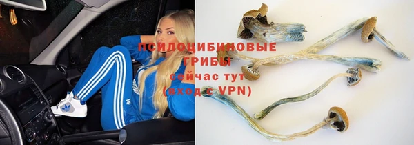 кокаин Краснослободск