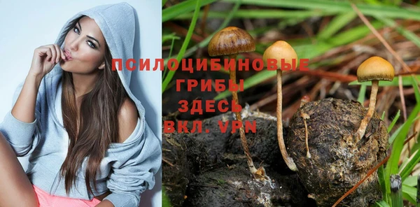 ALPHA-PVP Тобольск