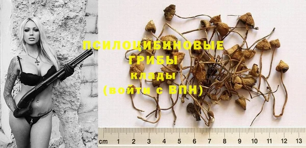 дурь Краснотурьинск