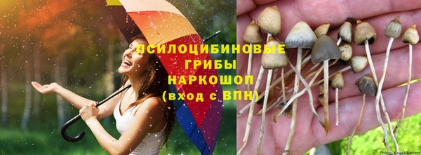 кокаин Краснослободск