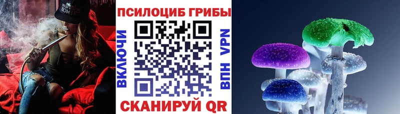 купить наркотик  Чадан  Псилоцибиновые грибы Magic Shrooms 