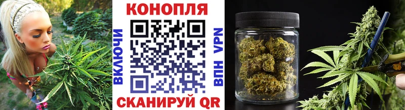 Бошки Шишки планчик  площадка формула  Чадан 